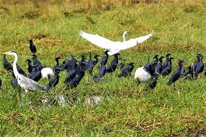 Thumbnail Placeholder