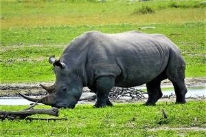 Thumbnail Placeholder