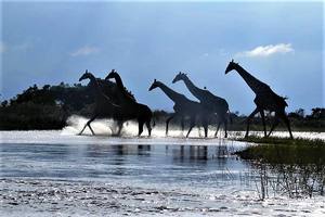 Thumbnail Placeholder