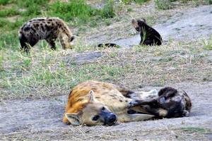 Thumbnail Placeholder