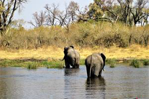 Thumbnail Placeholder