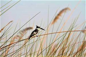 Thumbnail Placeholder