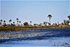 Thumbnail Placeholder