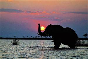 Thumbnail Placeholder